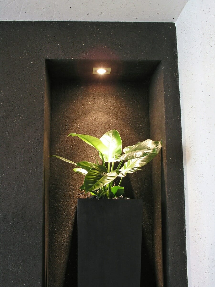 Beleuchtete Wandnische mit Pflanze, mit schwarzem Kalkputz