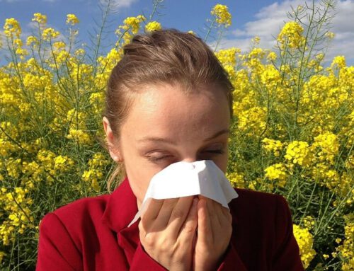 Allergien durch Baustoffe