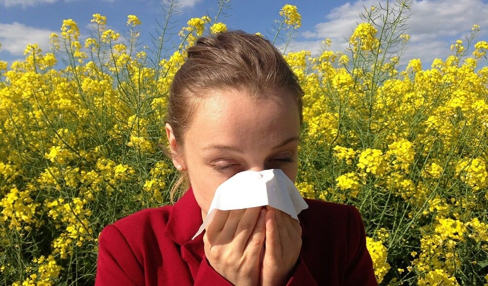 Allergien durch Baustoffe