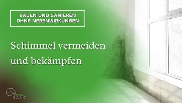 Schimmel vermeiden und bekämpfen